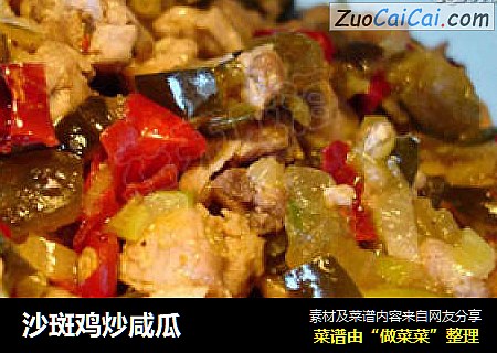 沙斑鸡炒咸瓜