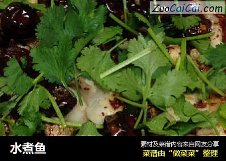 水煮鱼