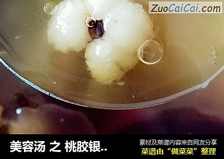 美容汤 之 桃胶银耳汤