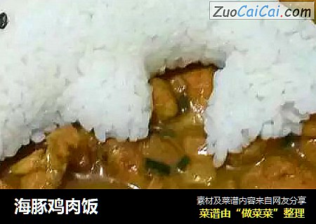 海豚鸡肉饭