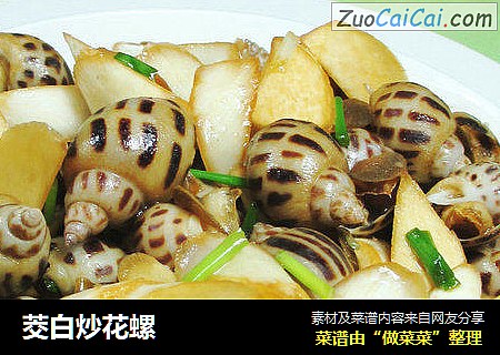 茭白炒花螺 
