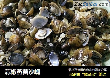 蒜椒蒸黄沙蚬
