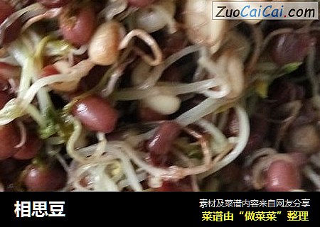 相思豆