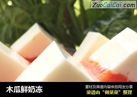 木瓜鲜奶冻