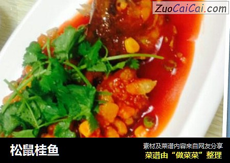松鼠桂鱼
