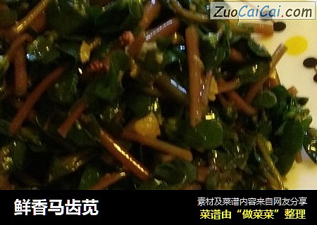 鲜香马齿苋
