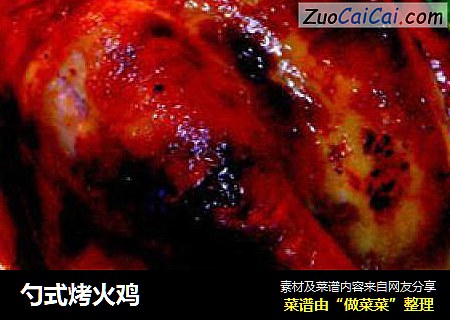 勺式烤火鸡