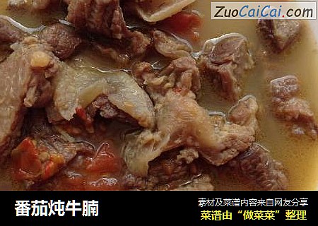 番茄炖牛腩