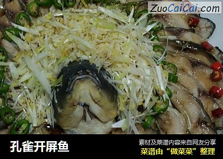 孔雀开屏鱼