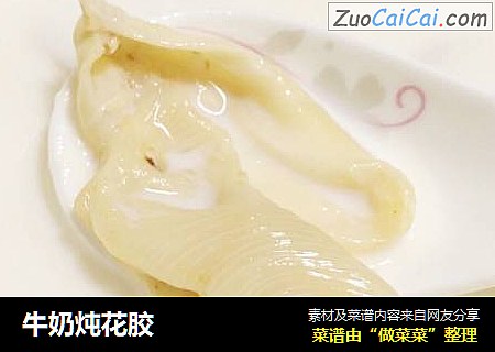 牛奶炖花胶