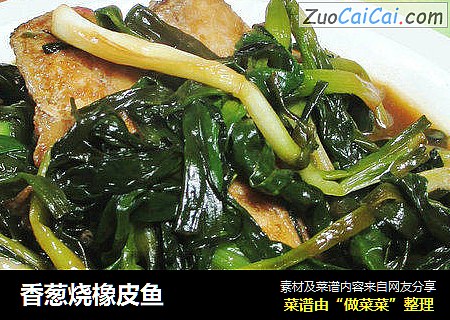 香葱烧橡皮鱼