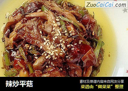 辣炒平菇