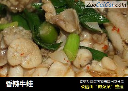 香辣牛蛙