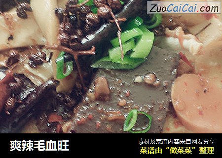 爽辣毛血旺