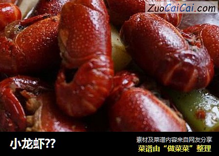 小龙虾??