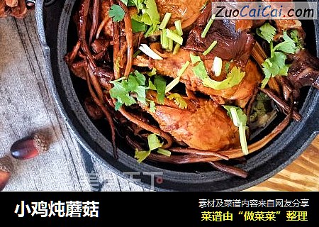 小鸡炖蘑菇