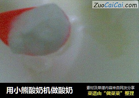 用小熊酸奶机做酸奶