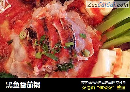 黑鱼番茄锅