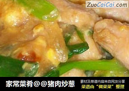 家常菜肴@@猪肉炒葱