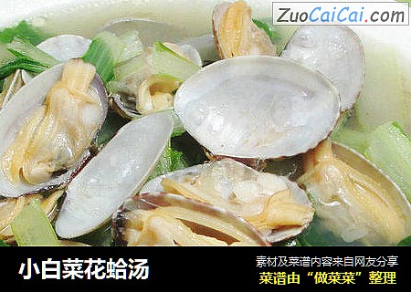 小白菜花蛤汤