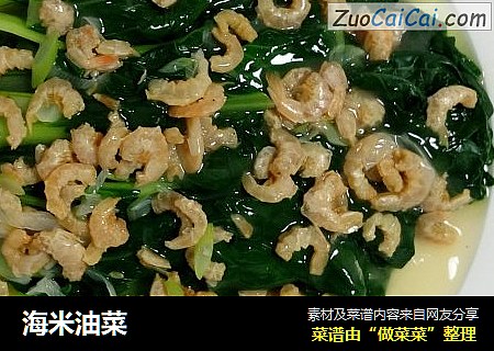 海米油菜