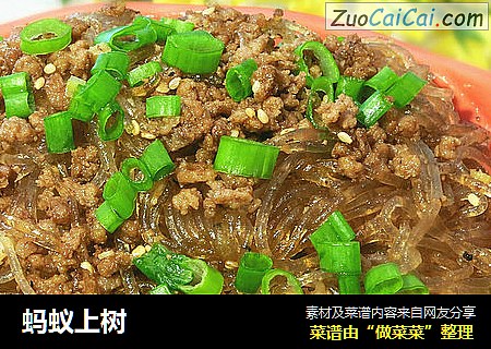 蚂蚁上树