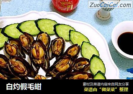 白灼假毛蚶