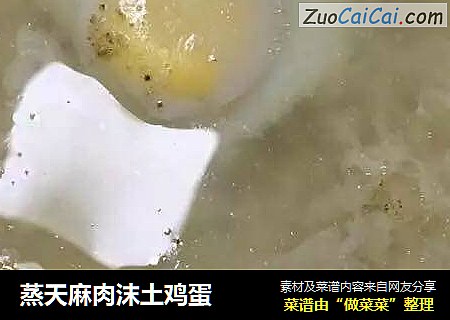 蒸天麻肉沫土鸡蛋