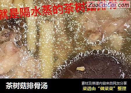 茶树菇排骨汤