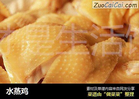 水蒸鸡