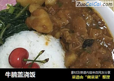 牛腩盖浇饭