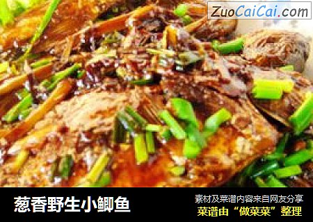 葱香野生小鲫鱼