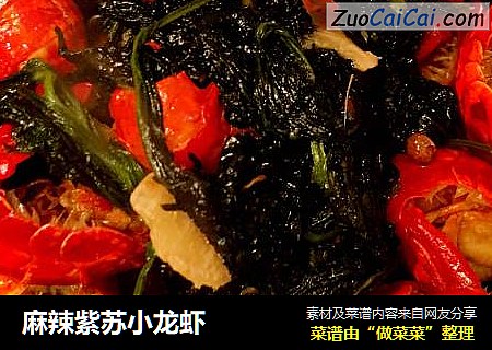 麻辣紫苏小龙虾