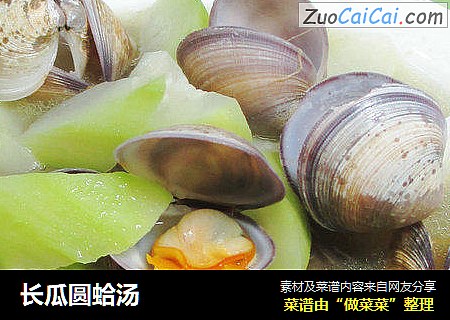 长瓜圆蛤汤