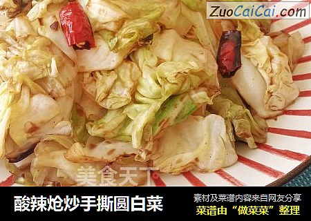酸辣炝炒手撕圆白菜