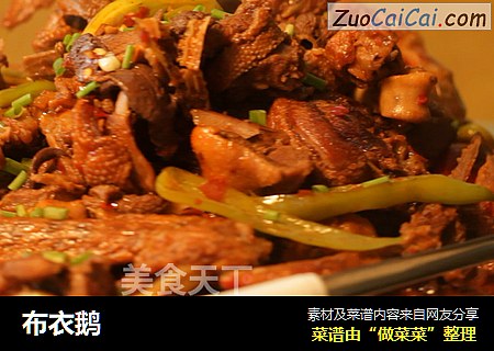布衣鹅