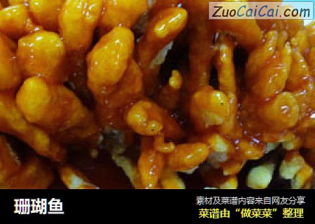 珊瑚鱼