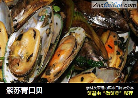 紫苏青口贝