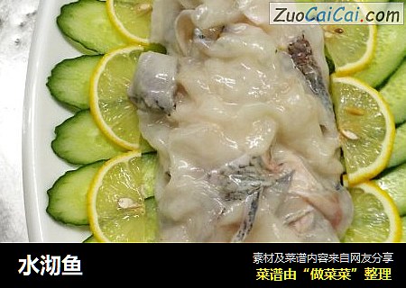 水沏鱼