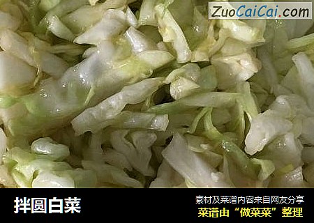 拌圆白菜