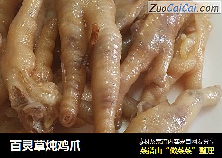 百灵草炖鸡爪