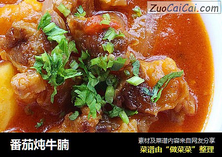 番茄炖牛腩