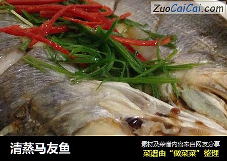 清蒸马友鱼