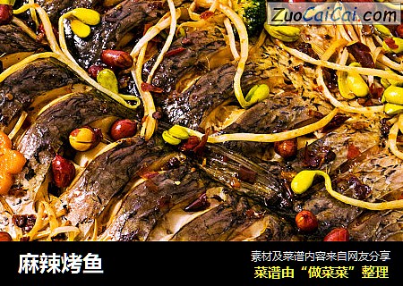 麻辣烤鱼