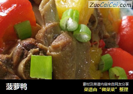 菠萝鸭