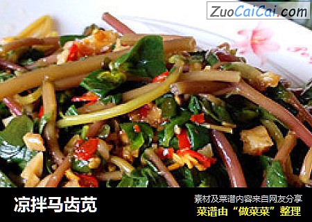 凉拌马齿苋
