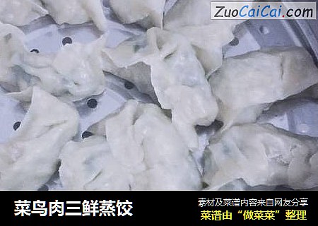 菜鸟肉三鲜蒸饺
