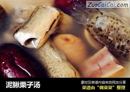 泥鳅栗子汤