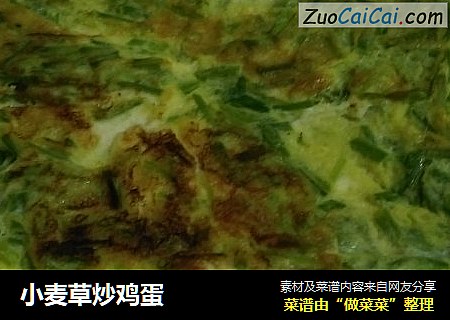 小麦草炒鸡蛋