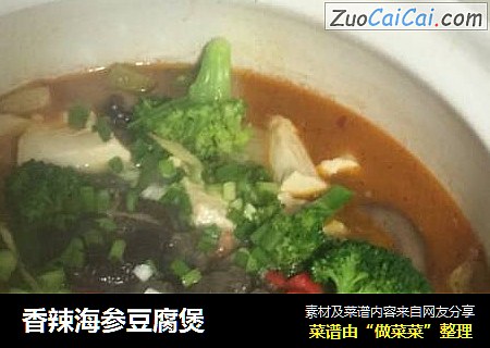 香辣海参豆腐煲